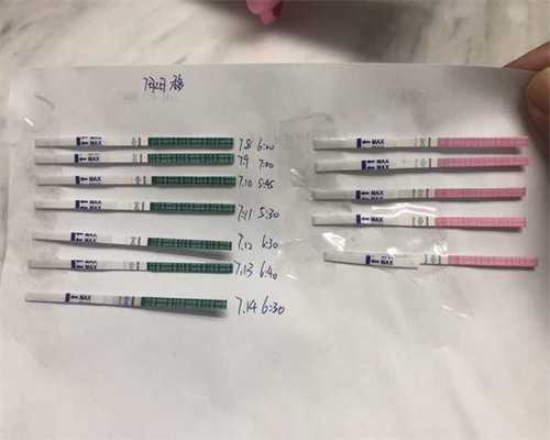 辅助生殖：探究促排方案与供卵成功率的关键因素及衡量标准