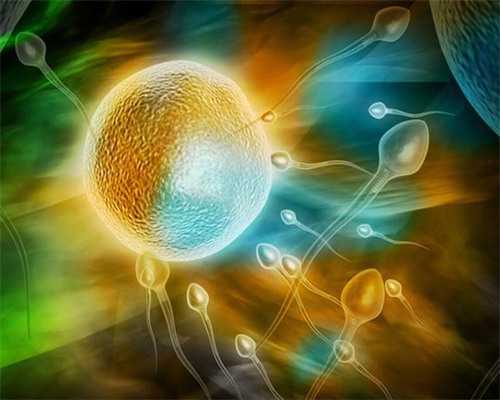 供卵助孕成功率与代生费用深度解析：缓解生育焦虑与风险考量