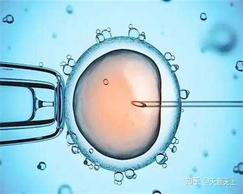 38岁女性试管助孕：首胎成功率与辅助生殖策略