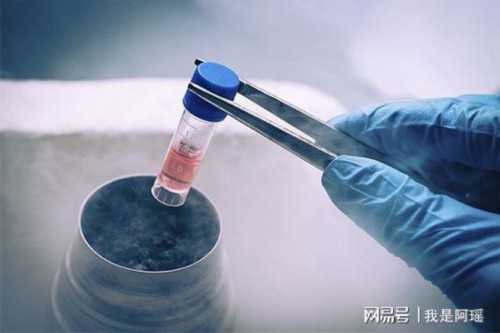 人民医院辅助生殖指南：供卵、代怀助孕成功率与专家团队解析